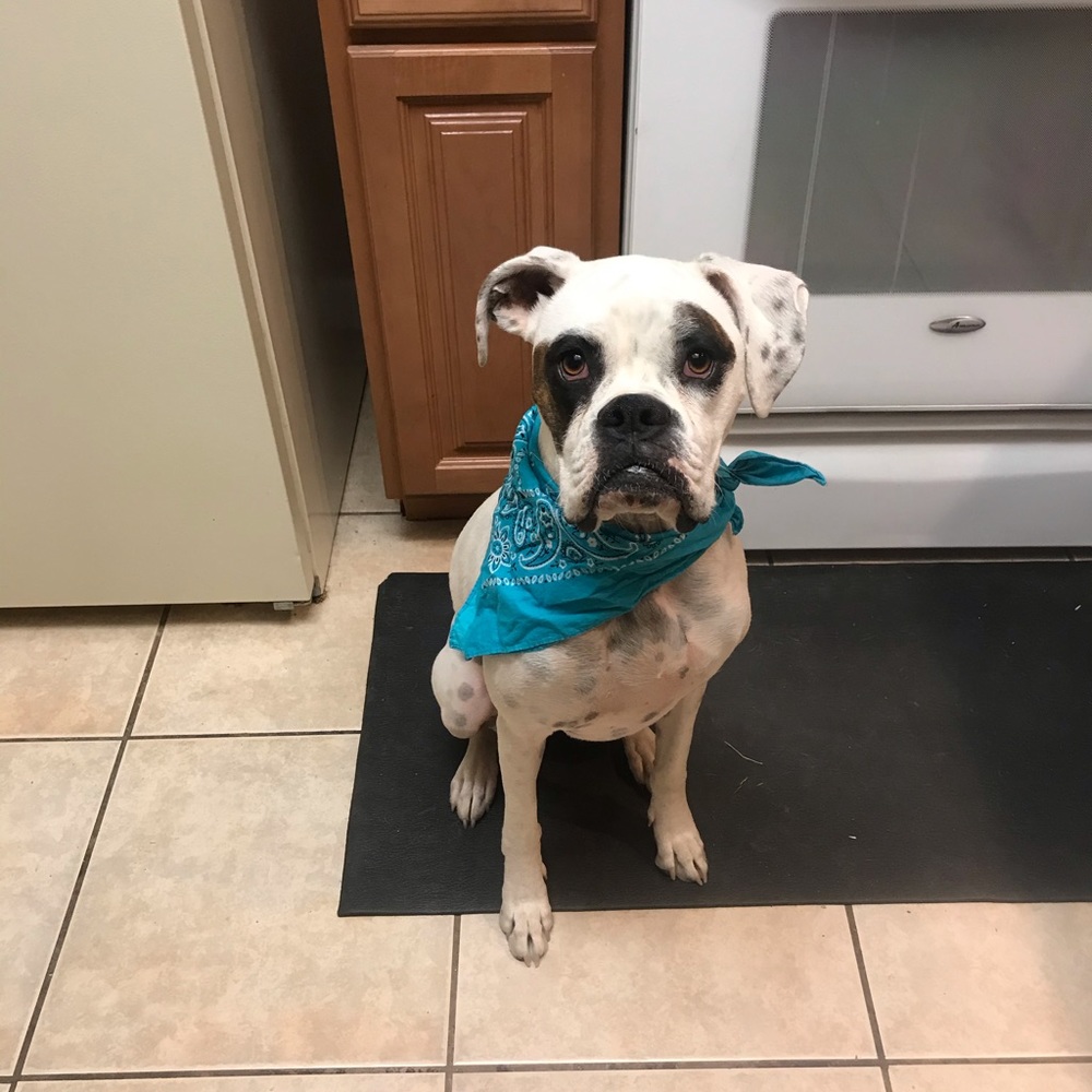 Meet your Posher, Mckenzie